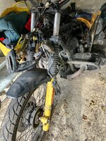 IMG_6373.jpeg
