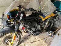 IMG_6374.jpeg