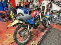 IMG_7270.jpeg IMG_7270.jpeg