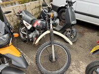 IMG_7268.jpeg IMG_7268.jpeg