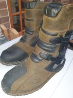 20250424_071625.jpg