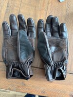 IMG_1154.jpeg