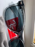 IMG_4550.jpeg