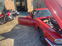 IMG_4419.jpeg