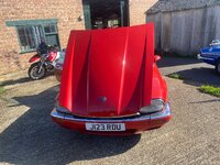 IMG_4417.jpeg