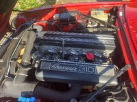 IMG_4416.jpeg