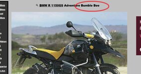 Bumble Bee.jpg