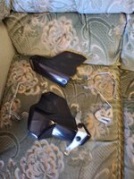 20250404_130317.jpg