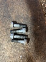 IMG_5856.jpeg
