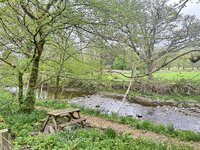 IMG_7970.jpeg