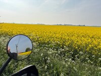 IMG_0183.jpeg