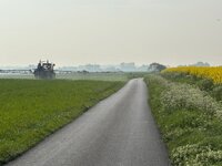IMG_0184.jpeg