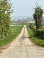 IMG_0194.jpeg