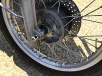 IMG_8569.jpeg