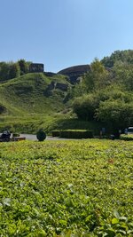 IMG_2037.jpeg