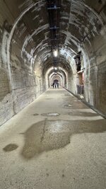 IMG_2040.jpeg