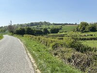 IMG_0230.jpeg