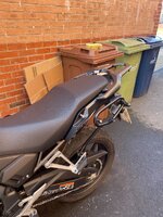 IMG_7565.jpeg