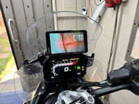 IMG_3556.jpeg