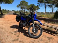 IMG_0052.jpeg