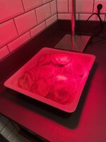 IMG_3819.jpeg