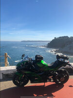 IMG_3295.jpeg