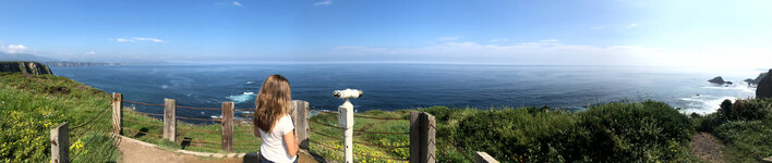 IMG_3298.jpeg