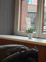 IMG_3850.jpeg
