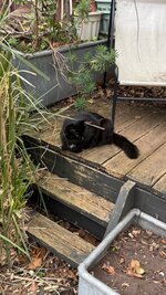 IMG_1452.jpeg
