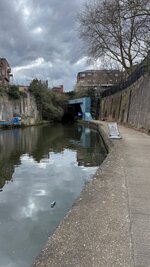 IMG_1456.jpeg