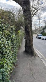 IMG_1475.jpeg