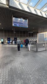 IMG_1551.jpeg