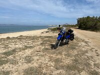 IMG_0081.jpeg