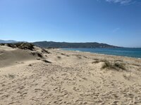 IMG_0080.jpeg