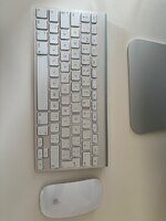 IMG_2608.jpeg