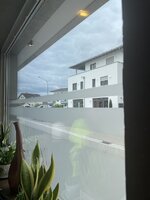 IMG_3871.jpeg