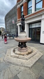 IMG_2184.jpeg