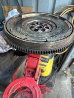 IMG_0995.jpeg
