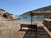 IMG_0118.jpeg