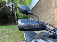 IMG_4384.jpeg