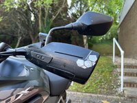 IMG_4385.jpeg