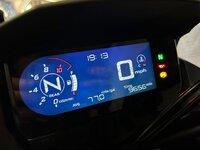 IMG_4387.jpeg