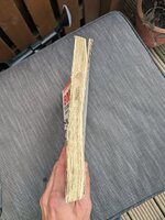 PXL_20250504_111826511.jpg