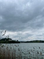 IMG_3899.jpeg