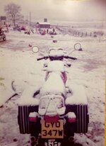 IMG_6686.jpeg IMG_6686.jpeg