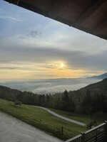 IMG_3923.jpeg