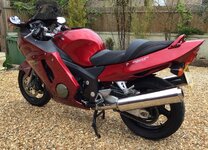 IMG_0472.jpeg