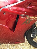 IMG_0478.jpeg