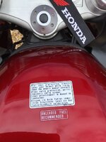 IMG_0482.jpeg