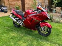 IMG_0412.jpeg